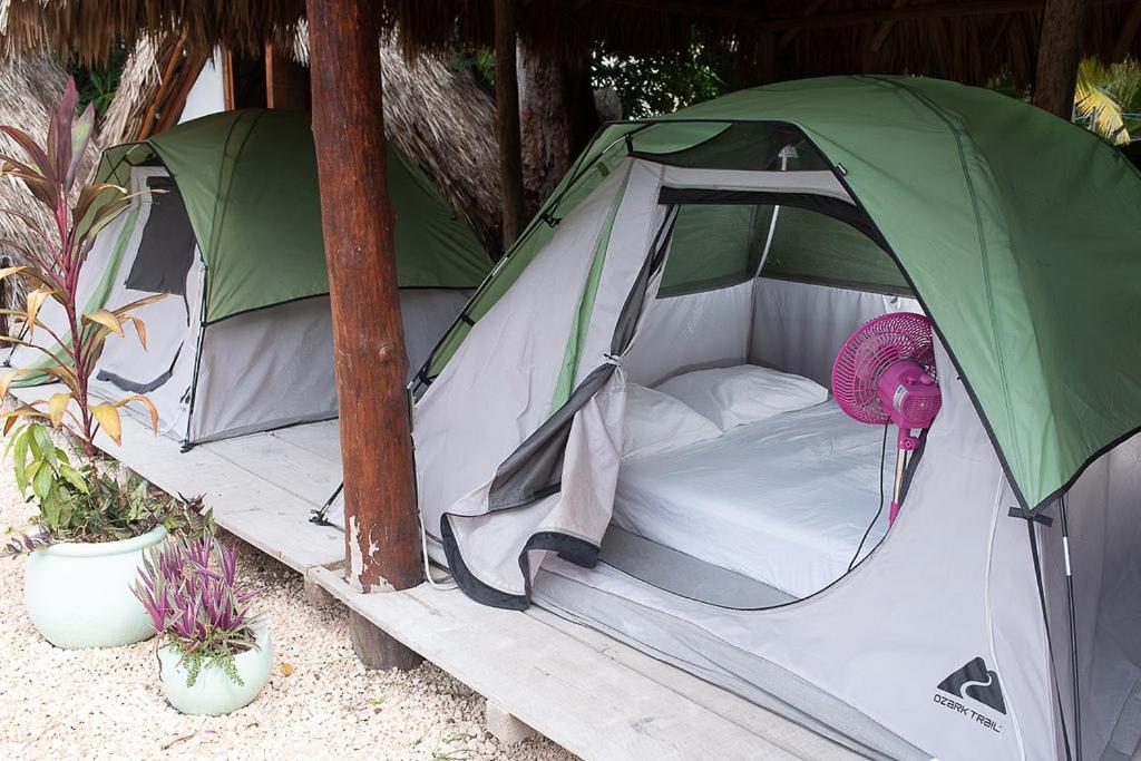 Mapache Hostel & Camping Isla Holbox Kültér fotó
