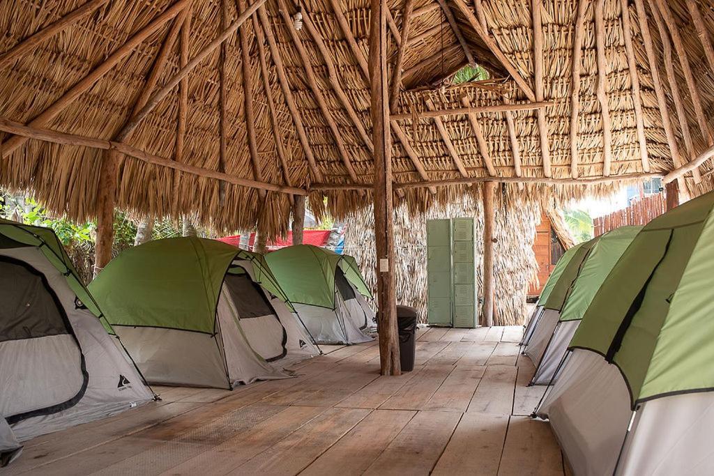 Mapache Hostel & Camping Isla Holbox Kültér fotó