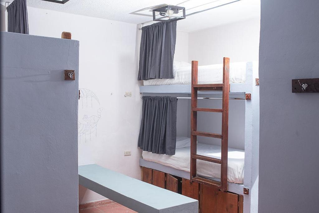 Mapache Hostel & Camping Isla Holbox Kültér fotó