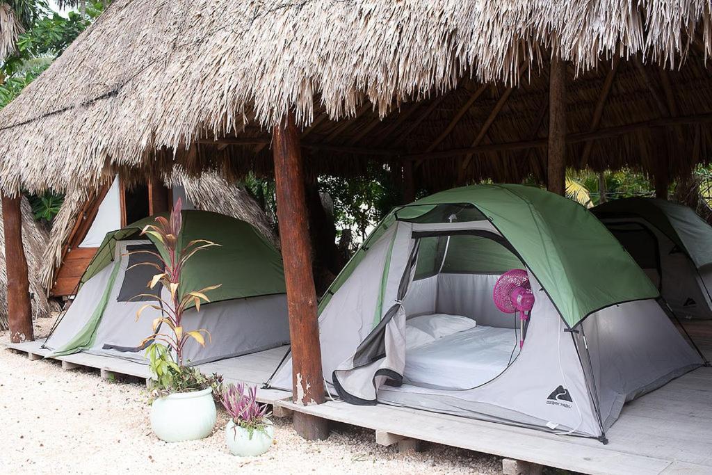 Mapache Hostel & Camping Isla Holbox Kültér fotó