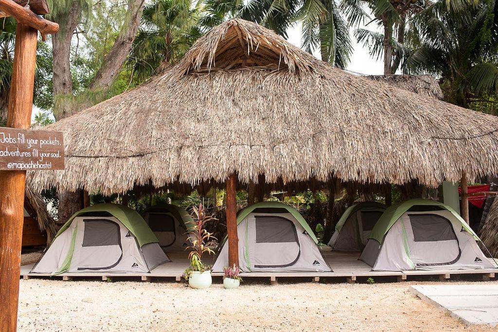 Mapache Hostel & Camping Isla Holbox Kültér fotó